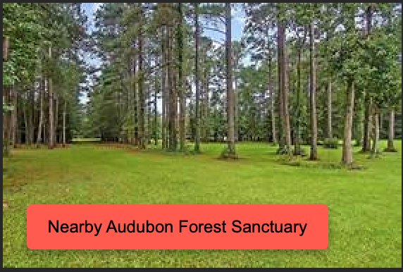 Nearby Audubon Forest