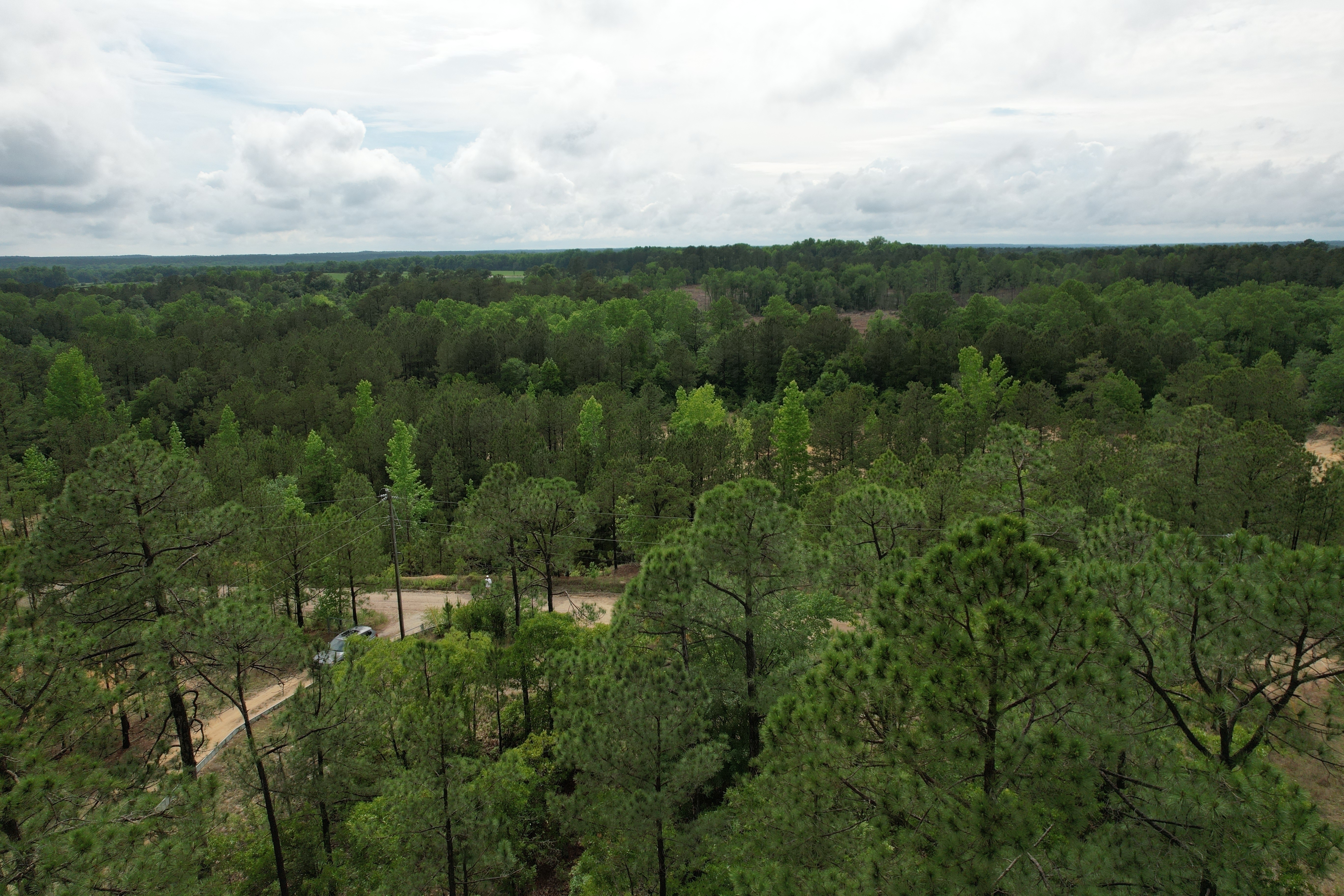 Drone view from above 3