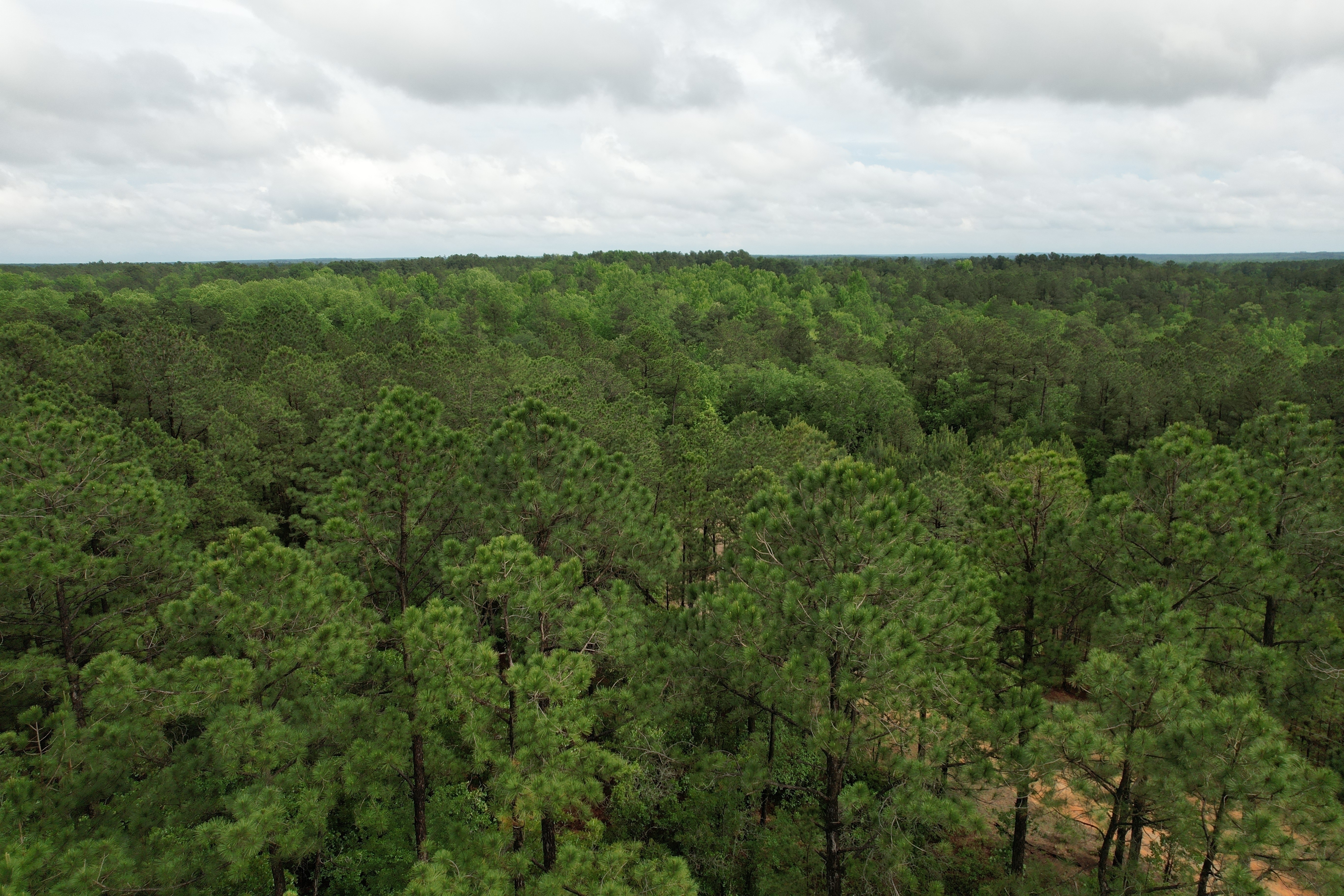 Drone View from Above 2