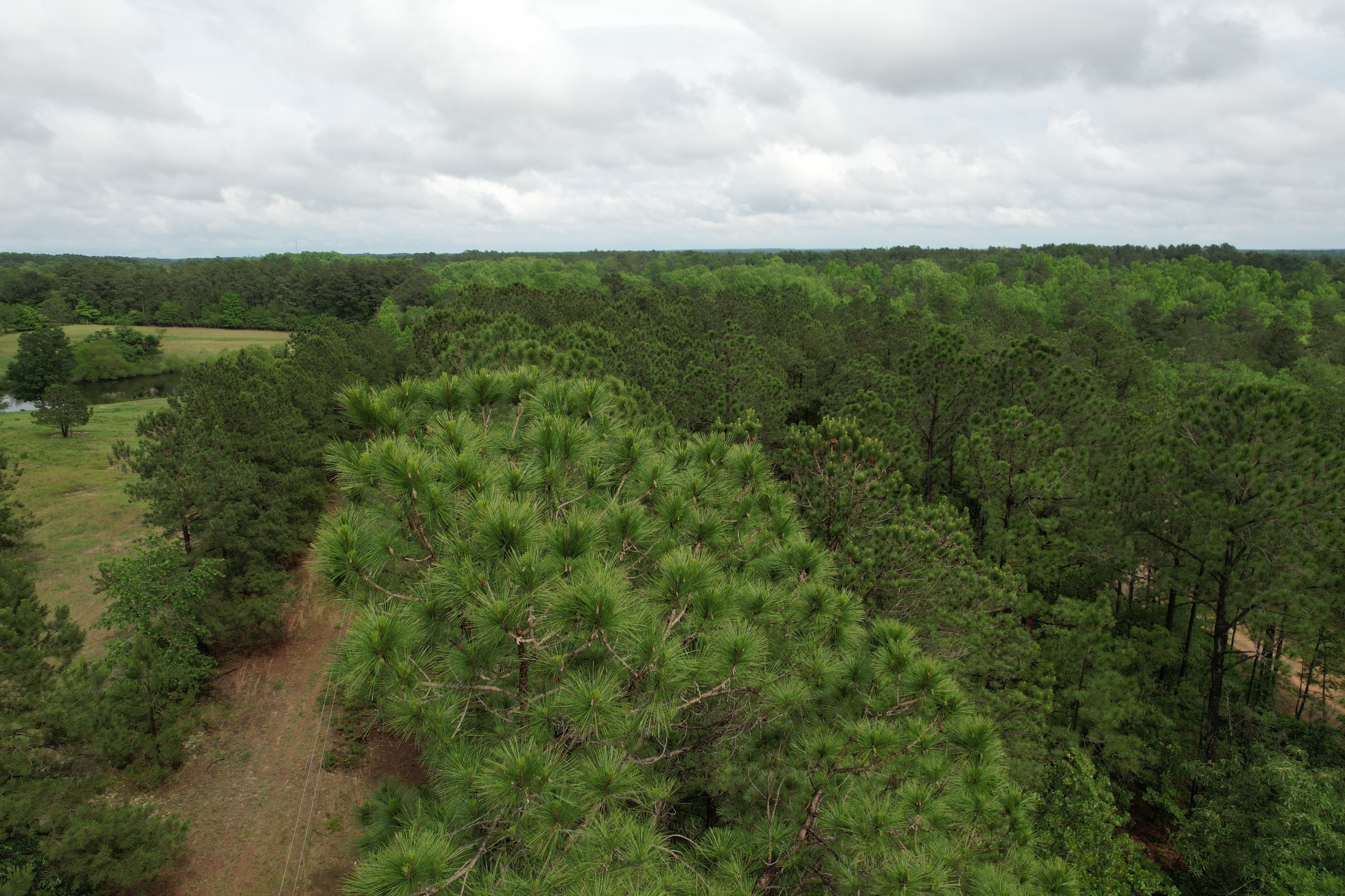 Drone view from Above Front