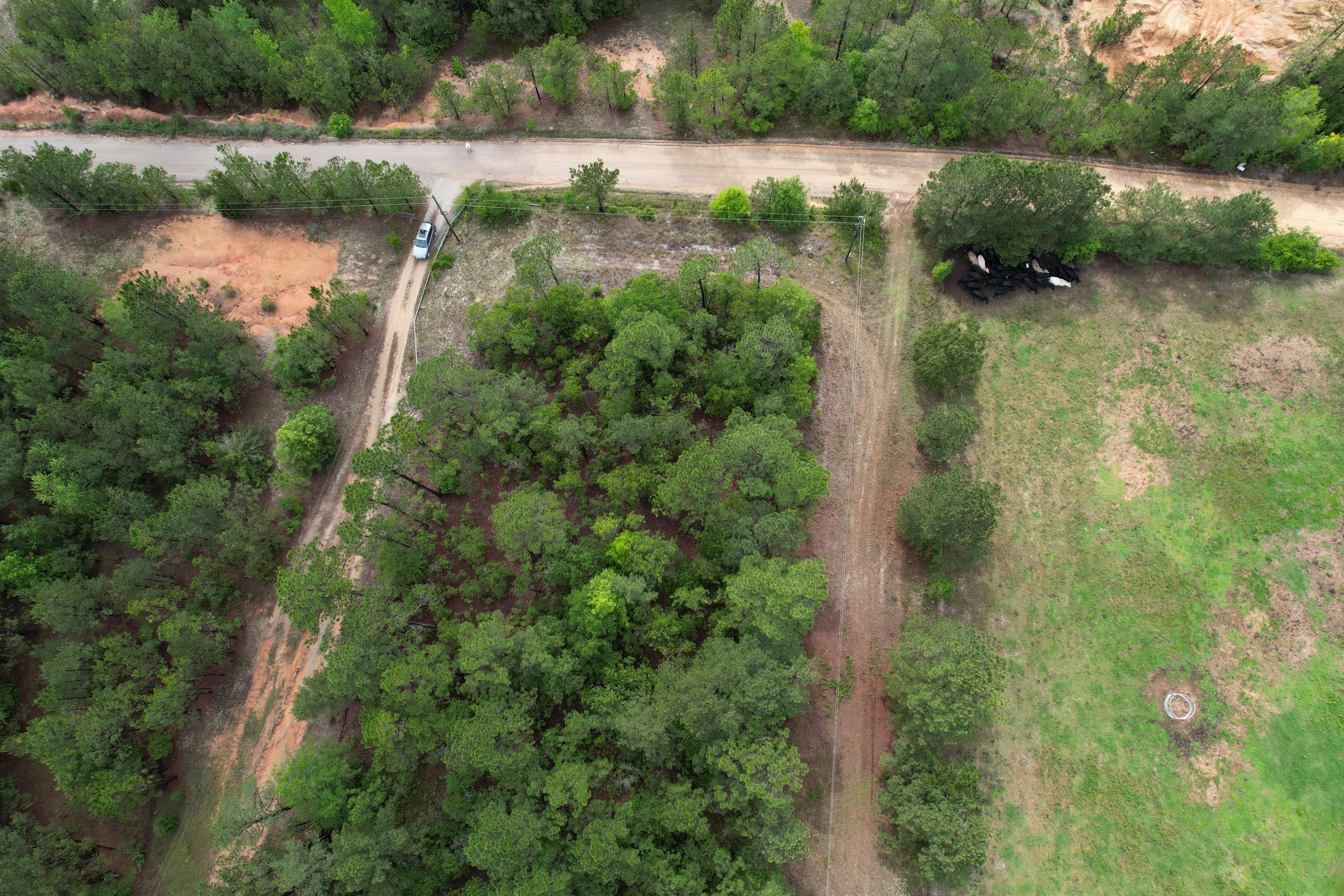 Overhead Drone View
