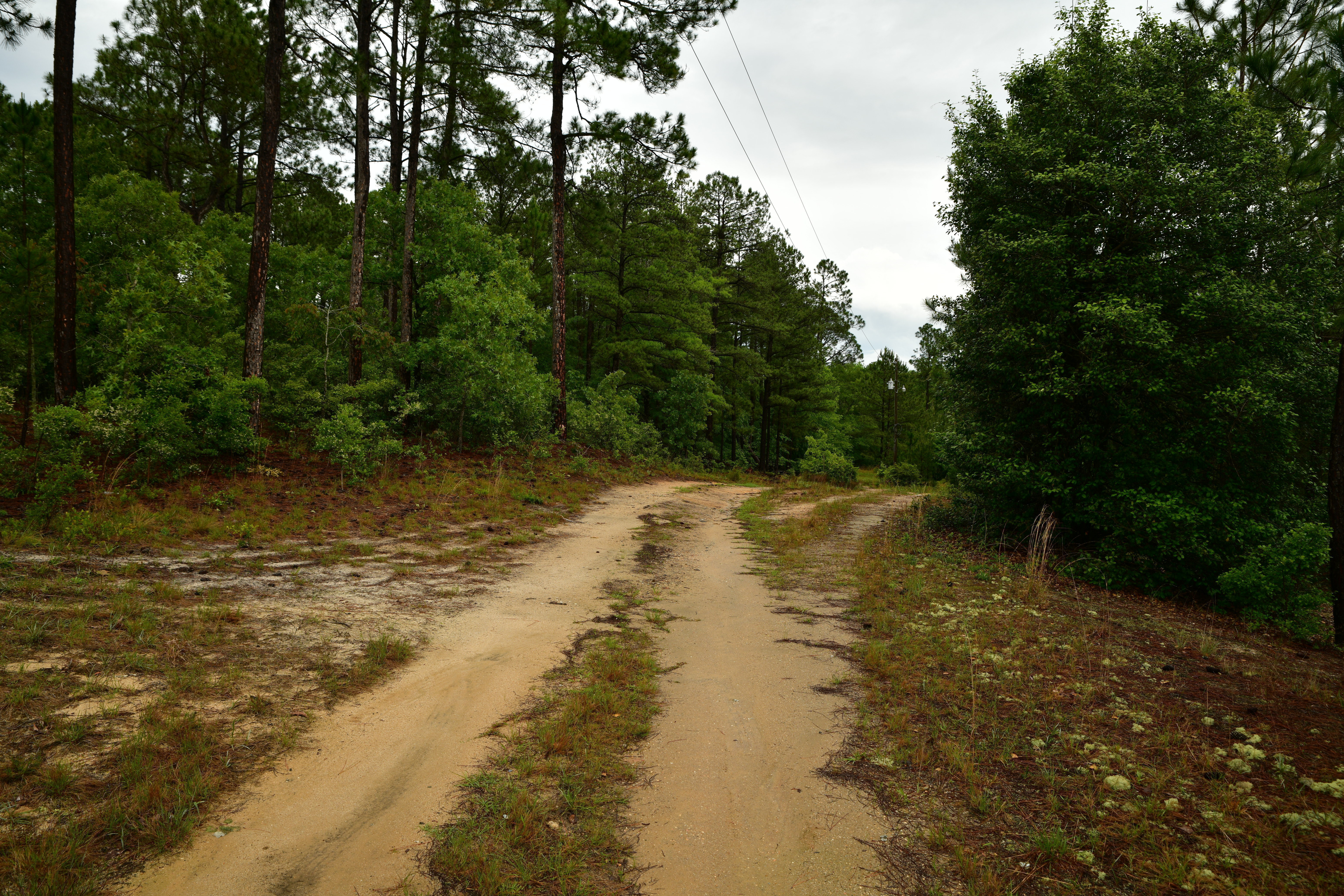 Right Side of Lot