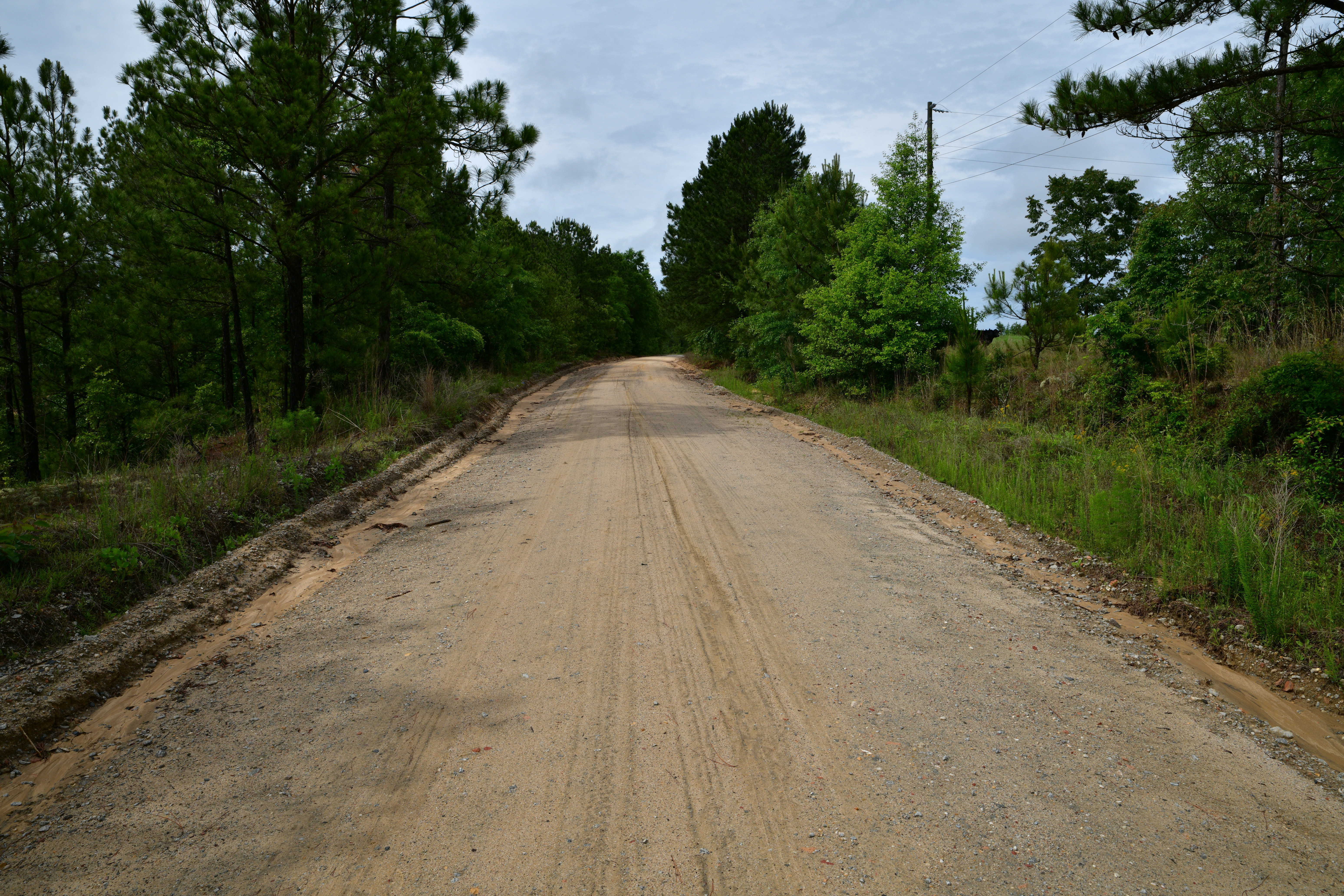 Gates Ford Road View