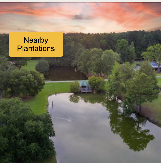 Nearby Plantation