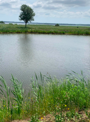 Cravens Grant Water